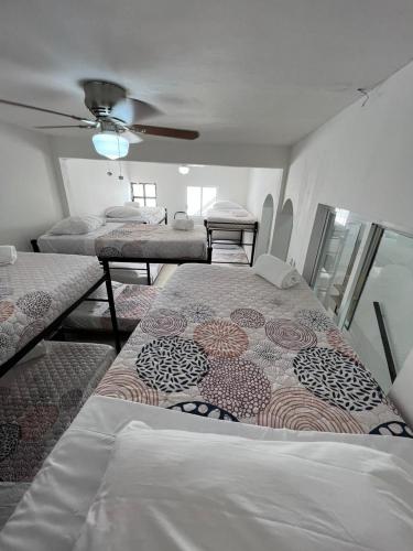 Hostal Luna 49 Mixto – Photos 2