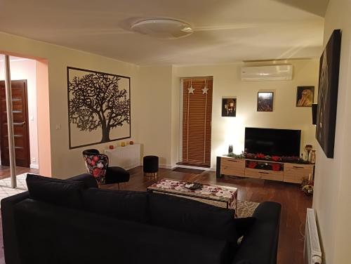 a living room with a black couch and a tv at APARTAMENT 80m2 z 70m2 tarasem -W PEŁNI WYPOSAŻONY - WYJATKOWE CENTRUM MIASTA in Włocławek