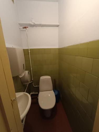 un piccolo bagno con servizi igienici e lavandino di Kanarbiku tuba a Türi