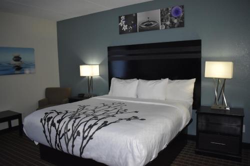 a hotel room with a large bed and two lamps at Sleep Inn & Suites West Knoxville in Knoxville