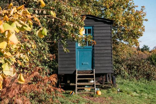 a tiny house with a blue door and a ladder at Beautiful, Secluded Shepherd's Hut in the National Park in Rake