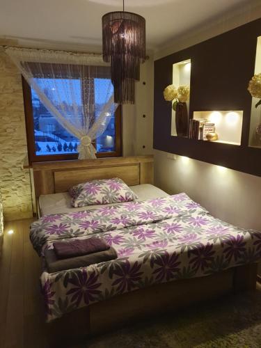 1 dormitorio con cama y ventana en Apartament Daria, en Jaworzno