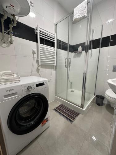 pralka w łazience z prysznicem w obiekcie VuVista w Pradze