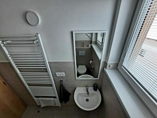 W łazience znajduje się umywalka i lustro. w obiekcie Tatras Apartments 622 w Nowej Leśnej