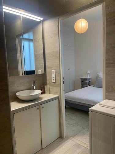 une salle de bain avec un lavabo, un miroir et un lit dans l'établissement Chemin Vert, à Paris