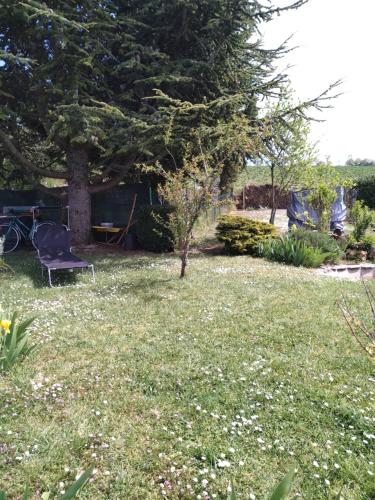 un patio con una silla y un árbol en Rosemary Cottage en Sergines