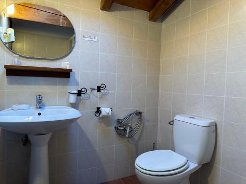 a bathroom with a toilet and a sink at Venturo Agriturismo Restaurant & Horses in Castelnuovo di Garfagnana
