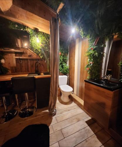 une salle de bain avec un lavabo et des toilettes dans l'établissement INDIANA JONES à 10 minutes du Parc Disneyland (taille chambre), à Condé-Sainte-Libiaire