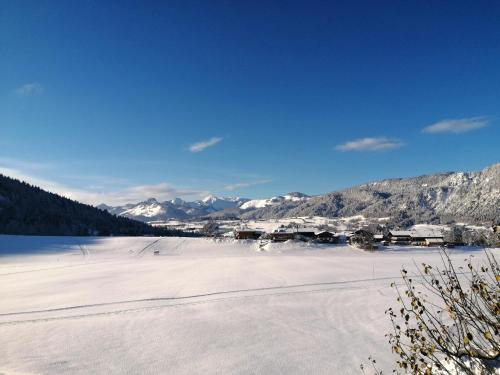 a snow covered field with mountains in the background at Gästehaus Schönfeld in Reit im Winkl