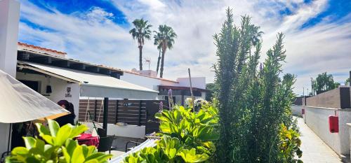 Bungalow La Bendita en Maspalomas