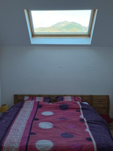 1 cama en un dormitorio con ventana en Le refuge aux Papillons, en Masevaux