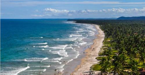 una vista aerea di una spiaggia con palme e l'oceano di Rua do cacau a Ilhéus
