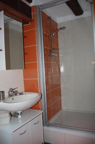 La salle de bains est pourvue d'un lavabo et d'une douche. dans l'établissement Chez Sabine et Laurent, à Saverne