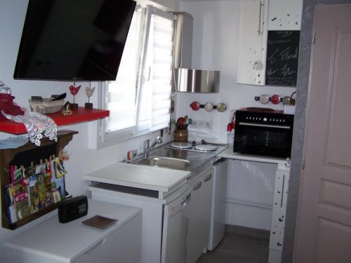 uma pequena cozinha com um lavatório e um micro-ondas em Maison Halle em Pouxeux