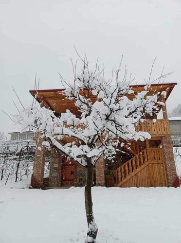 a tree covered in snow in front of a building at Zanduri House in Utskheri