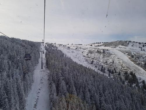 a ski lift with a snow covered road and trees at PAHULJA Vila Bela Reka Kopaonik Brzeće in Brzeće