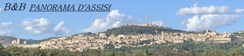 a city on top of a hill with a castle at B&B Panorama d'Assisi in Santa Maria degli Angeli