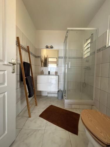 a bathroom with a glass shower and a sink at L’Appart - Les pieds dans l’eau in Sainte-Luce