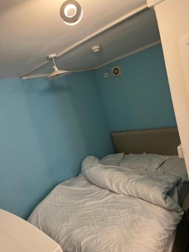 a small bed in a room with a blue wall at Room in Bristol