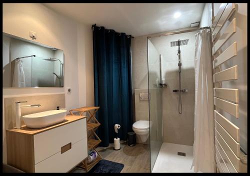 a bathroom with a sink and a shower at Le Cocon in Saint-Quentin