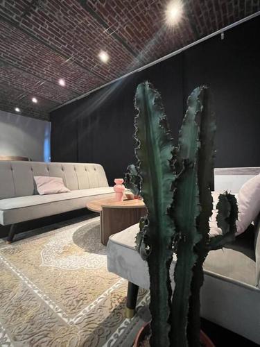 a cactus in a room with a couch and a table at L’algéroise Home & Spa in Ronchin