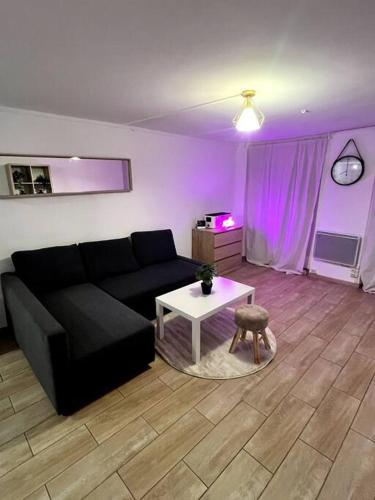 un salon avec un canapé noir et une table dans l'établissement Studio charmant centre Idéal, à Paris