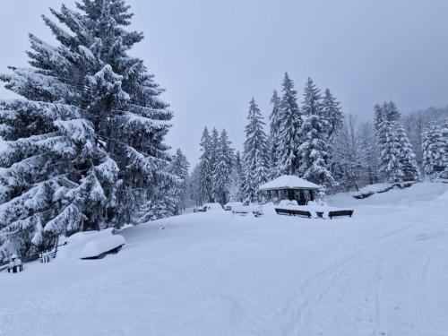 L'établissement Biały Potok en hiver