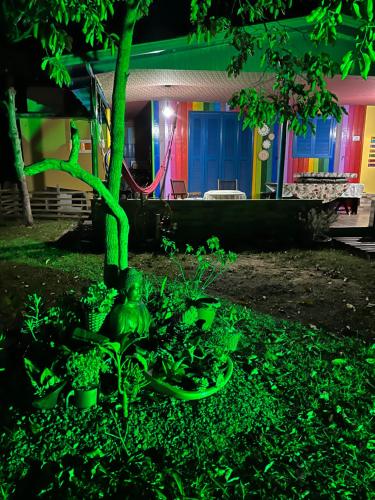 a house with green lights in front of a tree at Chácara Lagoa do Palmital in Osório