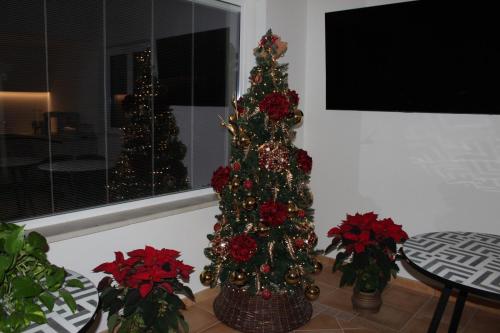 un arbre de Noël dans une chambre avec fenêtre dans l'établissement Bedda Mia Etna House B&B, à Trecastagni