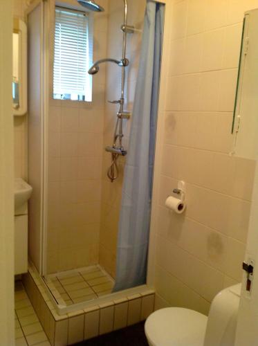 a bathroom with a shower and a toilet at Sólheimar Apartment in Húsavík