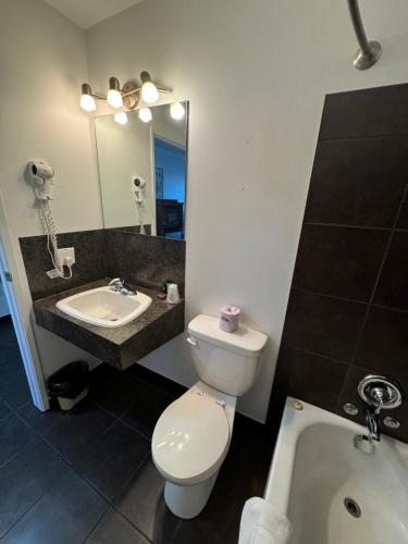 a bathroom with a toilet and a sink and a mirror at River Inn in Nipawin