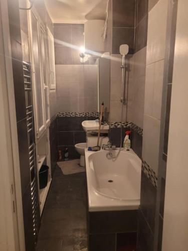 une petite salle de bain avec un lavabo et des toilettes dans l'établissement Charmant appartement près de Montmartre, à Paris