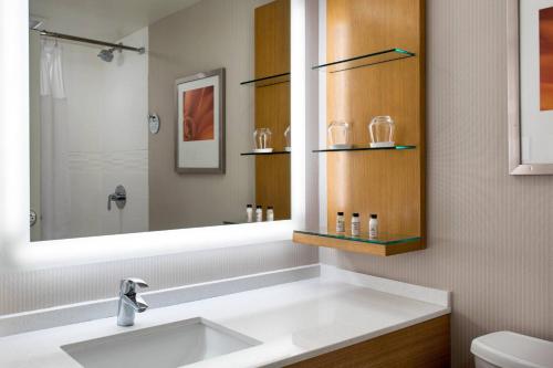ユーティカにあるDelta Hotels by Marriott Uticaのバスルーム(洗面台、鏡付)