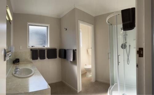 a bathroom with a sink and a shower and a toilet at Amber Court Motel in New Plymouth