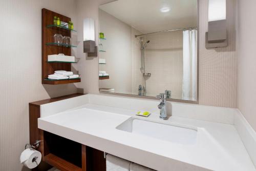 a bathroom with a white sink and a mirror at Delta Hotels by Marriott Regina in Regina