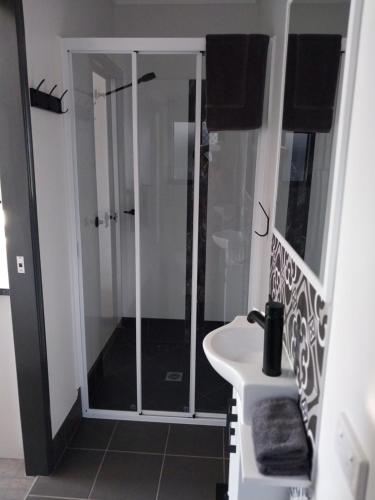 a bathroom with a shower and a sink at The Dugongs' Rest in Horn