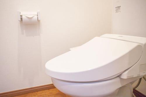 a white toilet in a bathroom with a roll of toilet paper at Ustay Kitakoiwa in Tokyo