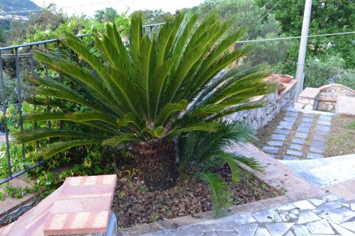 Taman di luar Wishing Well Maratea