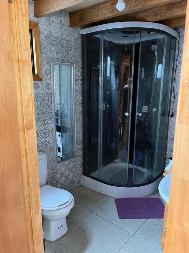 a bathroom with a toilet and a glass shower at Cabaña Kora in Puerto Fuy