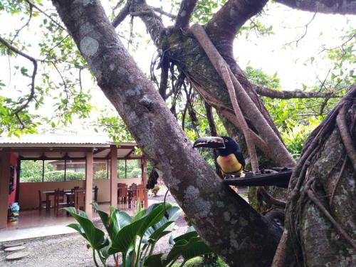 Slow Travel Lodge – Photos 5