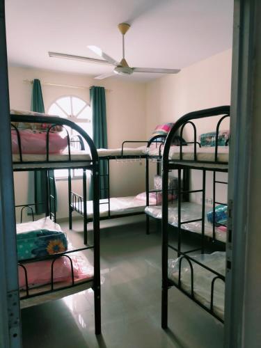 Katil dua tingkat atau katil-katil dua tingkat dalam bilik di Ahjar hostel only ladies