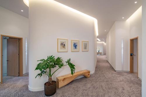 a hallway with a potted plant in a building at Wuyu Hotel - Chongqing Liangjiang Happiness Plaza & Xingfu Square & GuangdianYuan metro in Chongqing