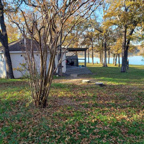 a tree in the grass in front of a house at Lake Front cottage in Little Elm