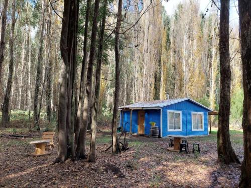 a blue cabin in the middle of a forest at Cabaña 4 a 5 Pers Los Ángeles in San Carlos de Purén