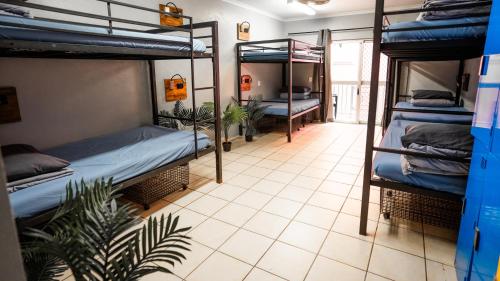 a room with three bunk beds and a plant at Bounce Cairns in Cairns