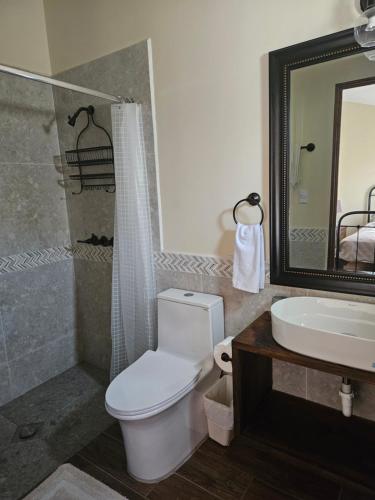 a bathroom with a toilet and a sink and a shower at Loft Candelaria Pacaya in Antigua Guatemala