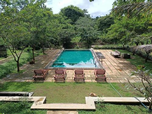 einen Pool mit einigen Stühlen in der Unterkunft Habarana Spice Village Hotel & Restaurant in Moragaswewa
