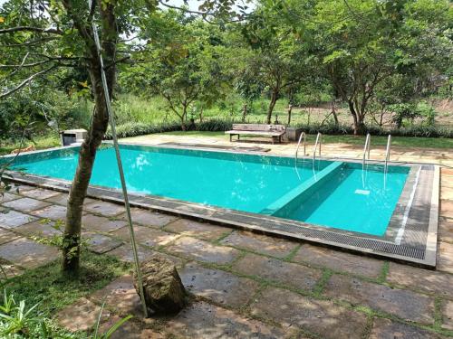 a swimming pool with a bench next to a tree at Spice Village Hotel & Restaurant in Habarana
