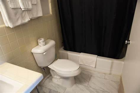 ein Badezimmer mit einem WC und einem schwarzen Duschvorhang in der Unterkunft American Inn in Dermott