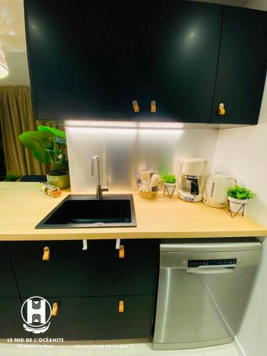 a kitchen with a sink and a counter top at Les Hauteurs de la Baie in Noumea